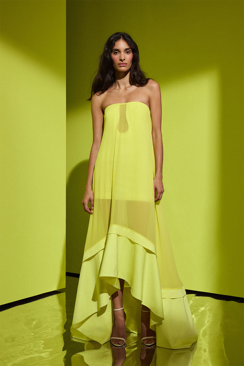 FARRAH GOWN