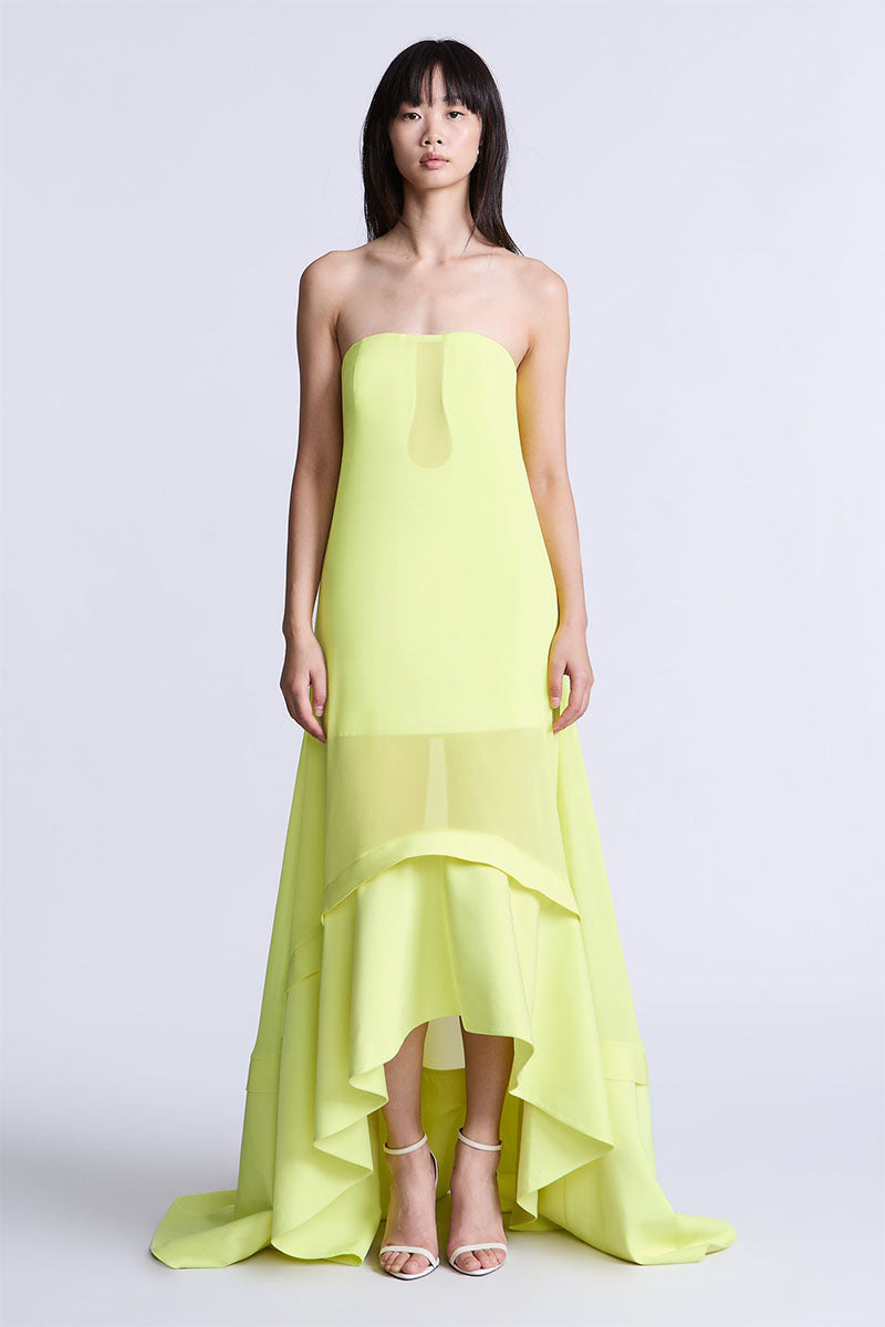 FARRAH GOWN